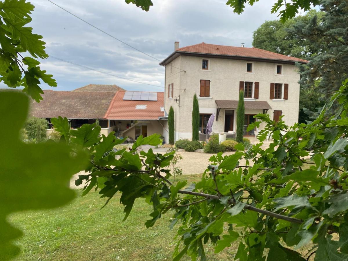 Les Berouds Hotel Salaise-sur-Sanne ภายนอก รูปภาพ